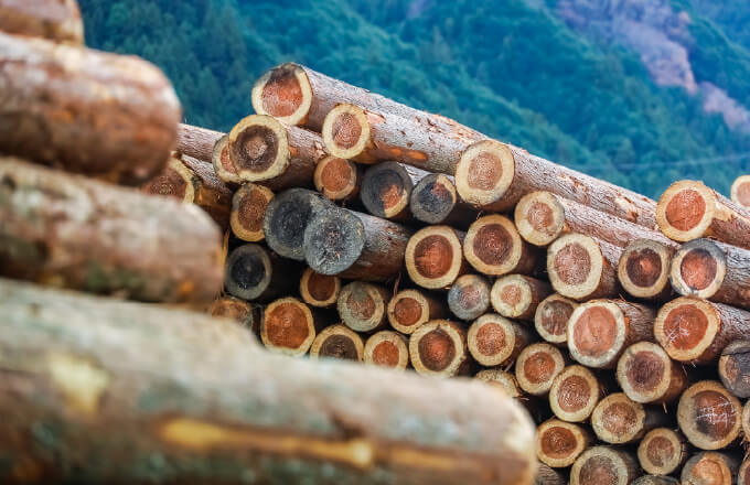 脱炭素社会実現に貢献