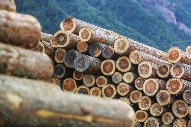 脱炭素社会実現に貢献