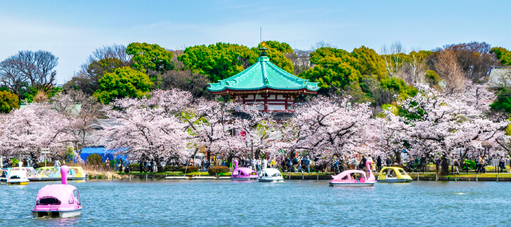「上野駅」へ21分