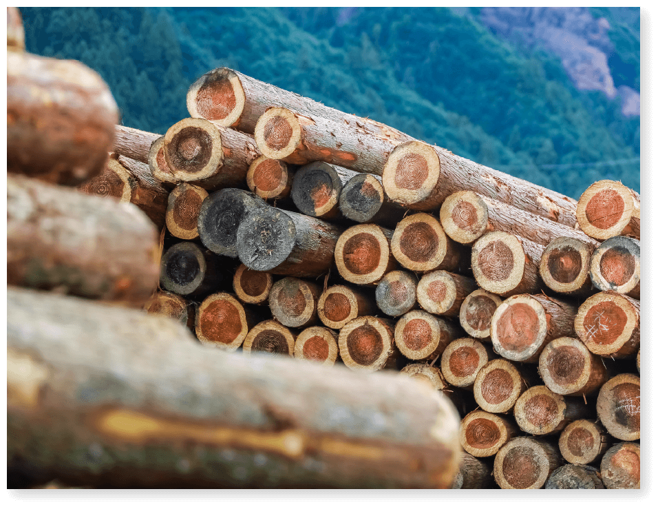 脱炭素社会実現に貢献