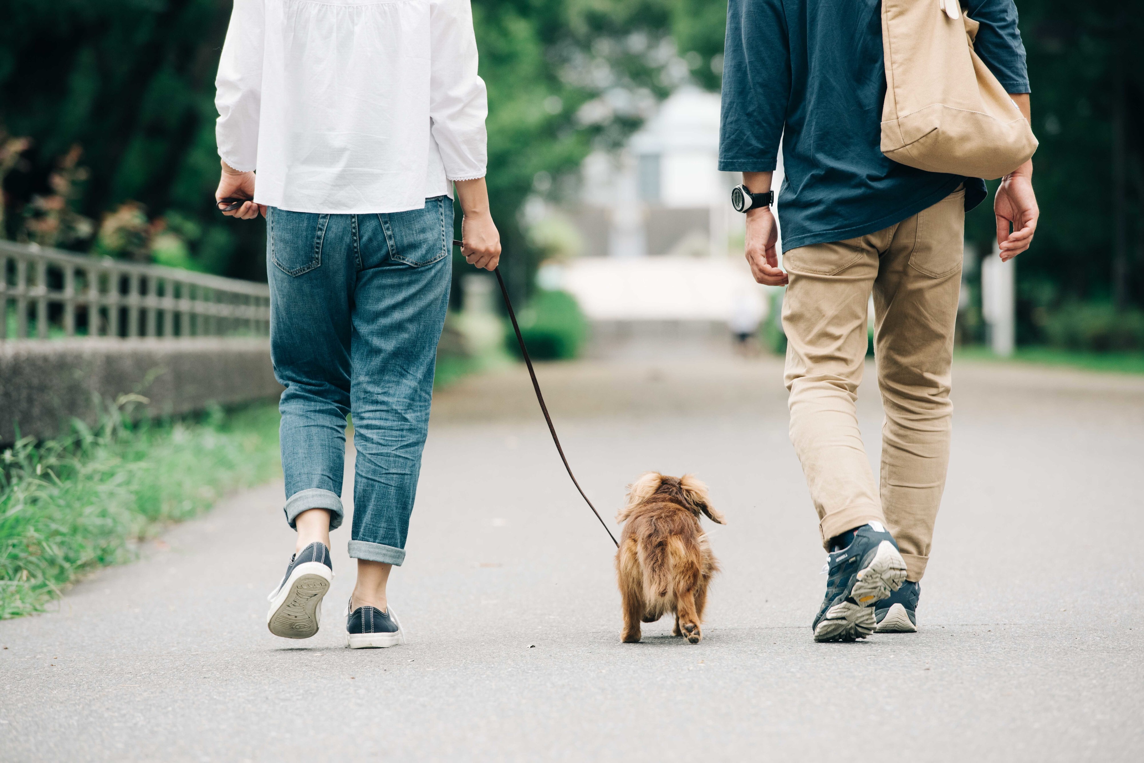 ペットとの暮らしイメージ（小型犬または猫と暮らせるWindsor Court）